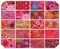 Kaffe Fassett Half Yard Bundle in Hot House by Kaffe Fassett for Free Spirit (FB4HYGP.HOTHOUSE)